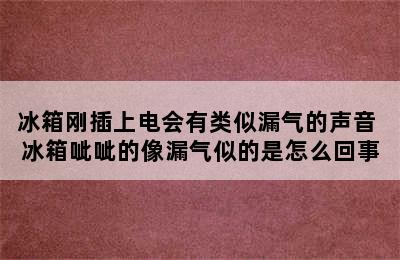 冰箱刚插上电会有类似漏气的声音 冰箱呲呲的像漏气似的是怎么回事